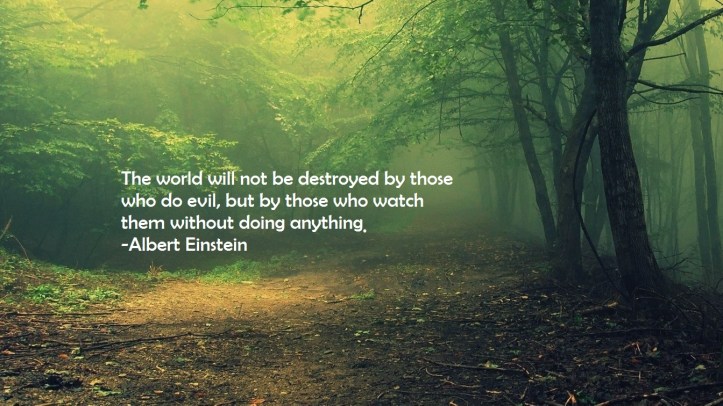 scary-woods-einstein